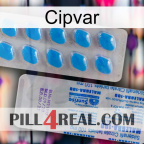 Cipvar new15